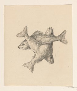 Drei kreuzweise angeordnete Fische