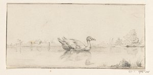 Ente im Wasser von Jean Bernard