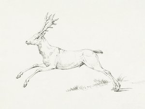 Springender Hirsch von Jean Bernard