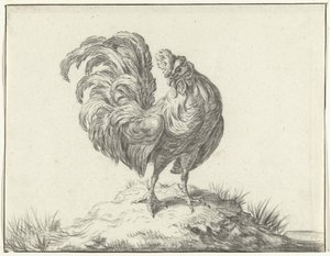 Huhn, stehend auf einem Hügel von Jean Bernard