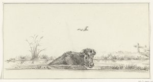 Kuh im Wasser von Jean Bernard