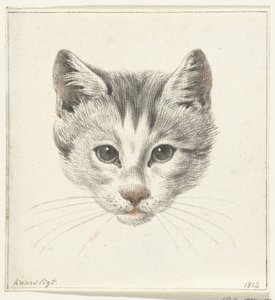 Kopf einer Katze, von vorne gesehen bei Kerzenlicht von Jean Bernard