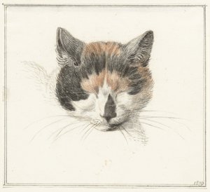 Kopf einer gefleckten Katze, von vorne, mit geschlossenen Augen von Jean Bernard