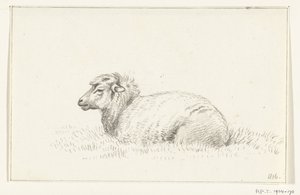 Liegendes Schaf, nach links von Jean Bernard