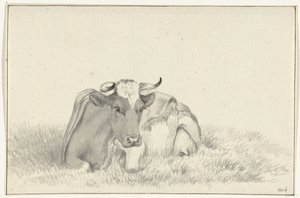 Liegende Kuh, von vorne von Jean Bernard