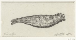 Sprotte bei Kerzenlicht von Jean Bernard