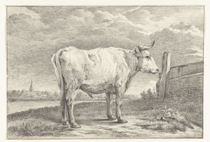 Stehender Stier, nach rechts