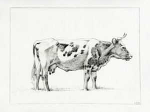Stehende Kuh (1820)