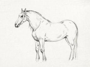 Stehendes Pferd (1818) von Jean Bernard