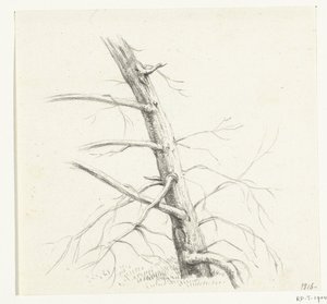 Studie eines Baumes von Jean Bernard