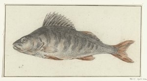 Fisch von Jean Bernard