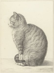 Sitzende Katze, nach links