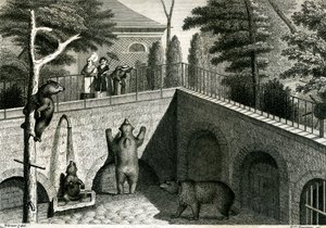 Bärenhöhle in einem Zoo