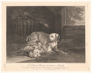 Bracke-Hund mit Jungen in einem Stall von Jean Daullé