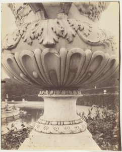 Versailles, Vase von Jean Eugène Auguste Atget