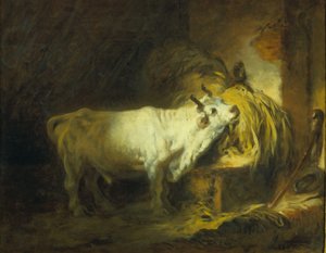 Der weiße Stier im Stall