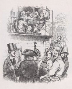 Orang-Utans aus den gesammelten Werken von Béranger, 1836