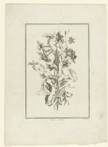 Blumenstrauß aus Narzissen und Winde (IIe Cahier de Bouquets) von Jean Jacques Avril (I)