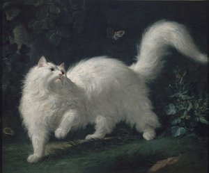 Angorakatze jagt einen Schmetterling, ca. 1760