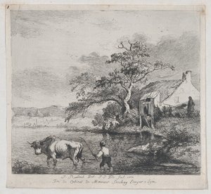Hirte und Stier, nach Ruisdael, 1772 von Jean Jacques de Boissieu