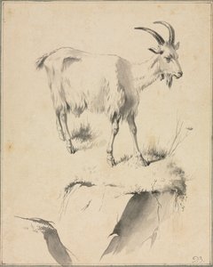 Studie einer Ziege von Jean Jacques de Boissieu