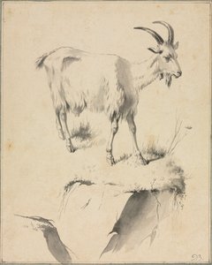 Studie einer Ziege, 1700er von Jean Jacques de Boissieu