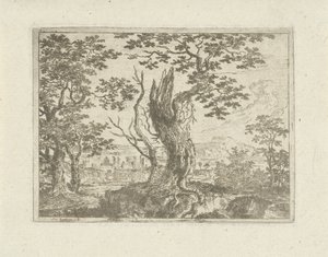 Landschaft mit einem abgebrochenen Baum