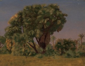 Studie von Palmen von Jean Leon Gerome
