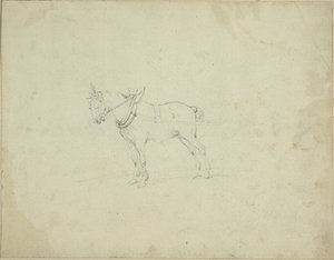 Zugpferd