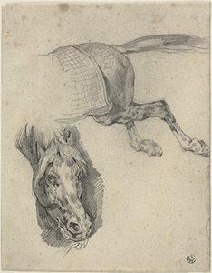 Kopf und Hinterteil eines Rennpferdes von Jean Louis André Théodore Géricault