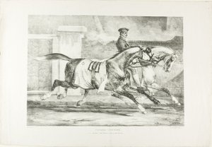Pferde beim Üben, Tafel 6 aus Verschiedene Motive nach dem Leben auf Stein gezeichnet von Jean Louis André Théodore Géricault