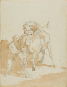 Stallbursche pflegt ein Pferd