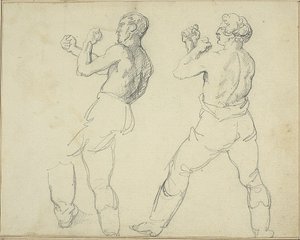 Zwei Boxer nach links schauend