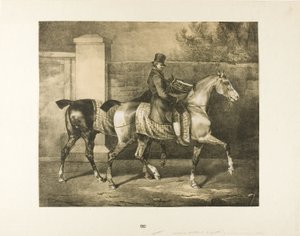Zwei Pferde von einem Jockey geführt