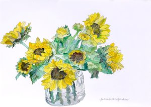 Sonnenblumen, 2007