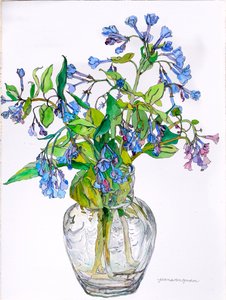 Virginia Blue Bells in schmalhalsiger Vase, 2006