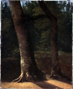 Studie von Bäumen, ca. 1815 von Jean Victor (attr. to) Bertin
