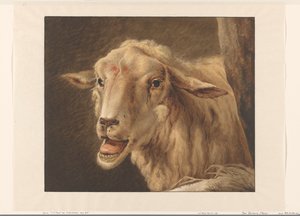 Schafskopf von Jean Zacherie Mazel