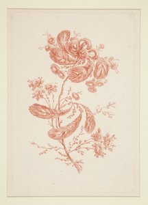 Ohne Titel (Ideale Blumen), aus einem Satz von sechs von Jeanne Deny