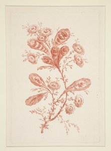 Ohne Titel (Ideale Blumen), aus einem Satz von sechs von Jeanne Deny