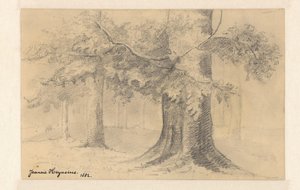 Landschaft mit Bäumen von Jeanne Marie Heynsius (signed by artist)
