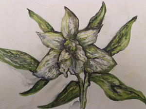 Grüne Orchidee von Jeannette Stein