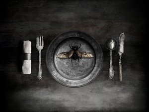 Unheimliches Käfermahl von Jeffrey Hummel