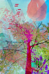 Lebendiger abstrakter Baum