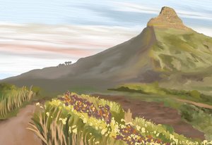 Wildblumen Bergpfad
