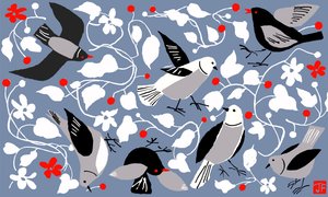 Birdy von Jenny Frean
