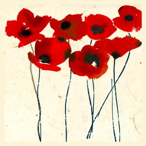 Tintenmohn von Jenny Frean