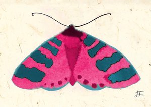 Rosa Motte, 2024 von Jenny Frean