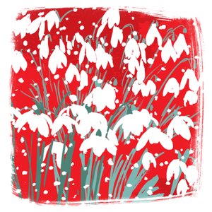 Schneeglöckchen von Jenny Frean