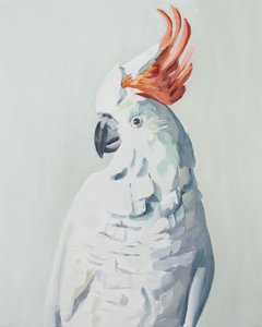 Weißer Kakadu von Jenny Westenhofer
